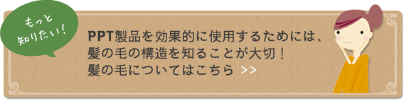 PPT製品を効果的に使用するためには、髪の毛の構造を知ることが大切！髪の毛についてはこちら