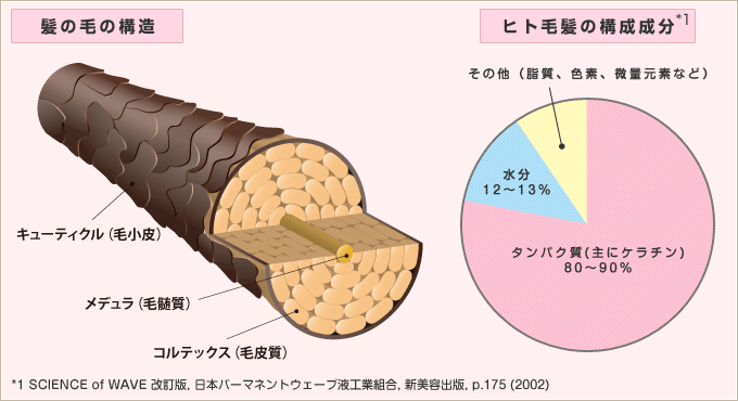 図