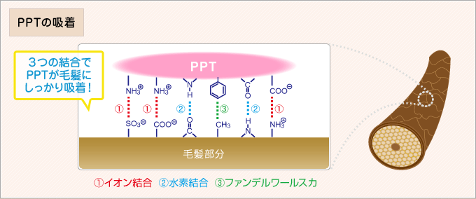 図