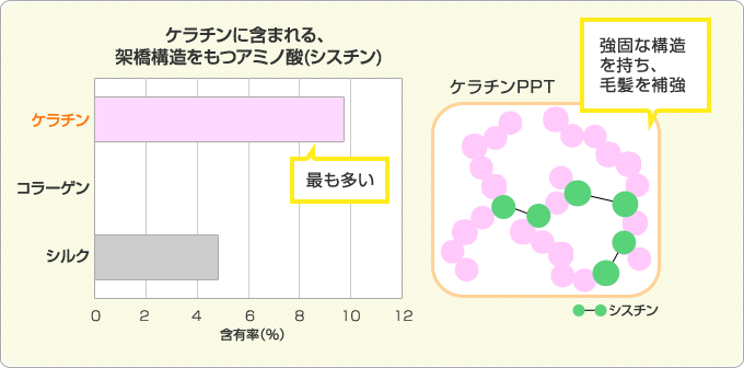 ケラチン＝ハリコシPPT