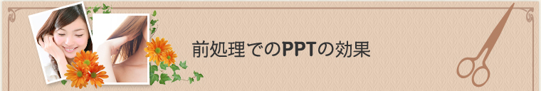 前処理でのPPTの効果